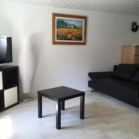 Appartement Proche Colmar Soultzbach les Bains 外观 照片