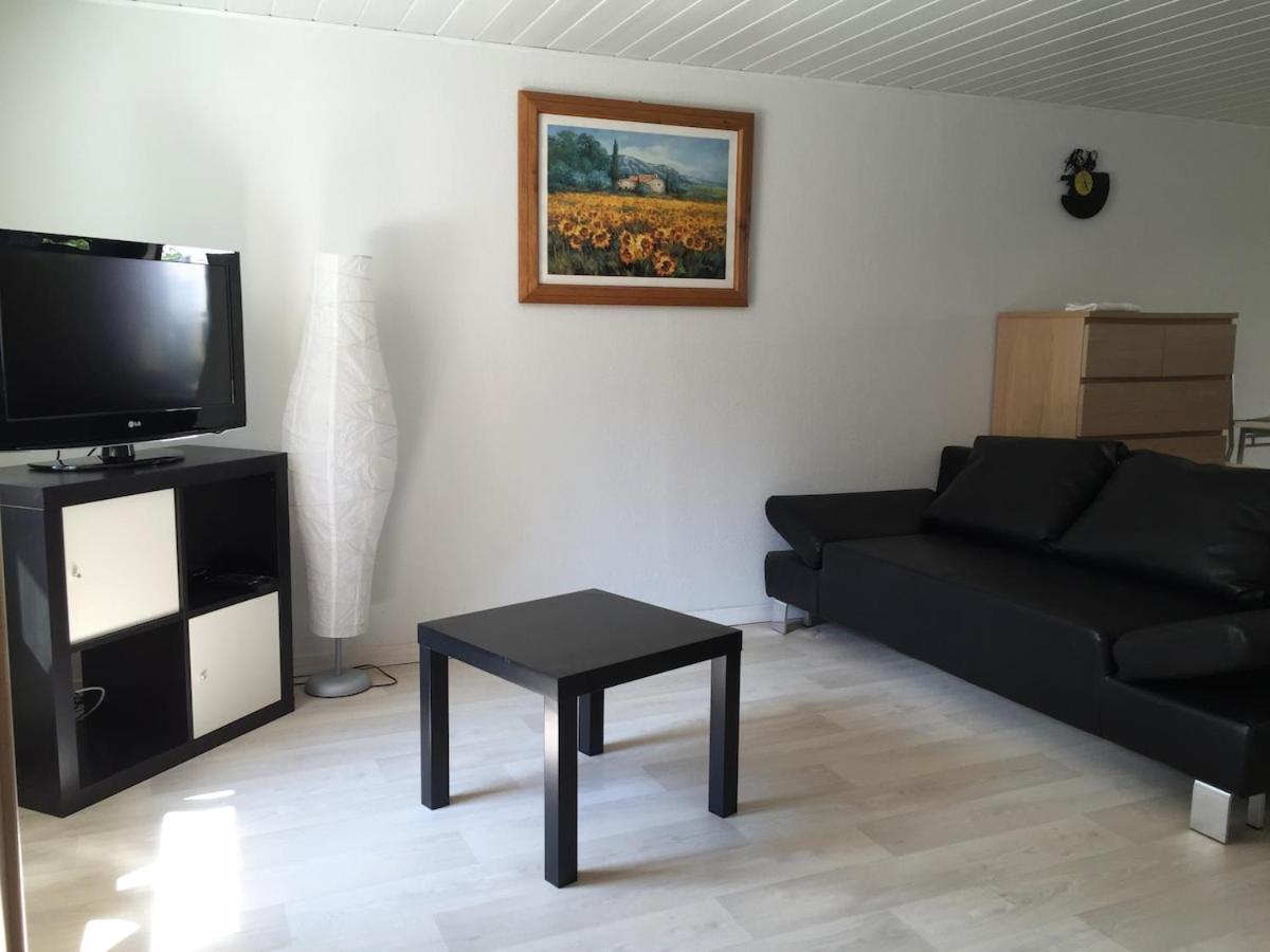 Appartement Proche Colmar Soultzbach les Bains 外观 照片